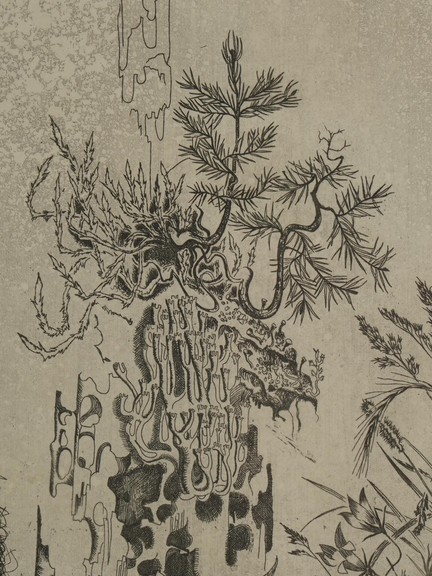 ETCHING FLORA FAUNA BY DMITRI PLAVINSKY PIC-3